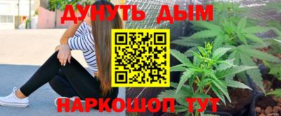сатива Жуковский