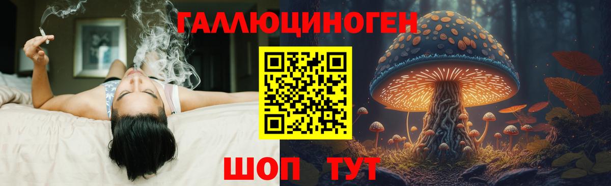 Саяногорск  Галлюциногенные грибы Psilocybine cubensis  Вход с VPN  Галлюциногенные грибы Psilocybe 
